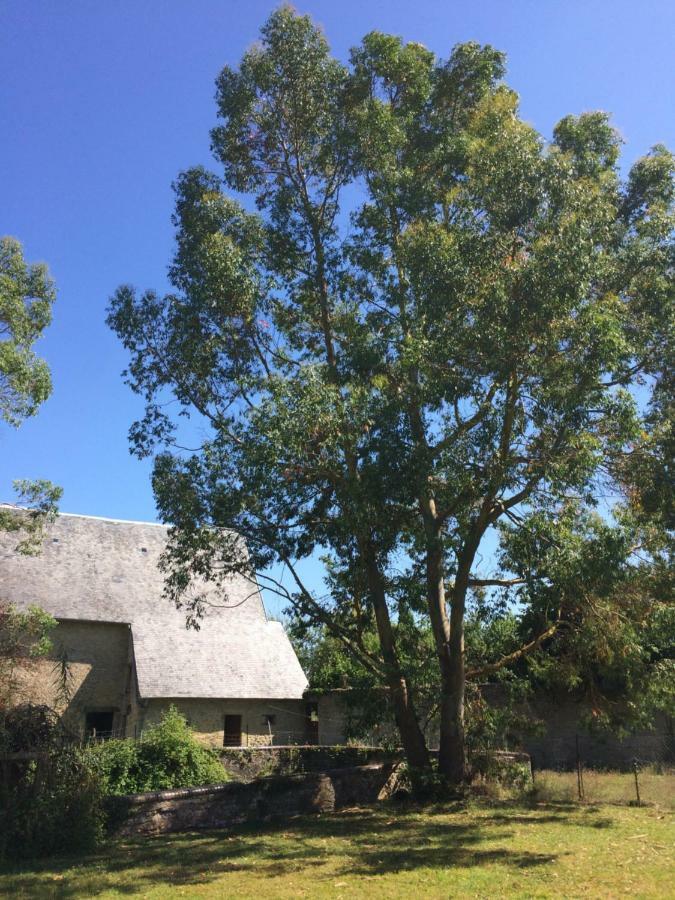 Le Manoir Des Doyens Panzió Bayeux Kültér fotó